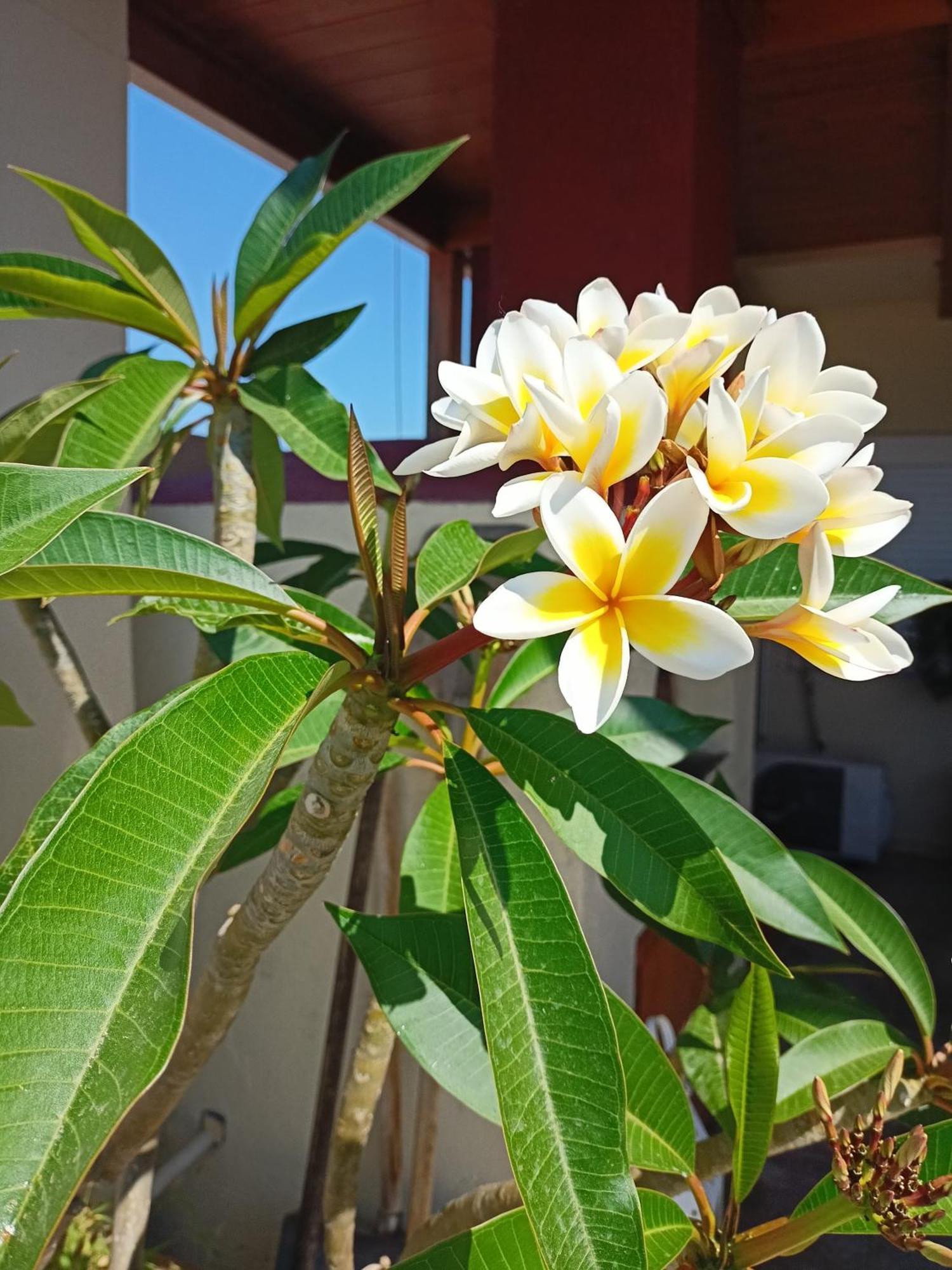 Doma Rooftop Apartment Heraklion  Luaran gambar
